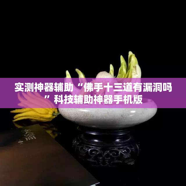 实测神器辅助“佛手十三道有漏洞吗”科技辅助神器手机版