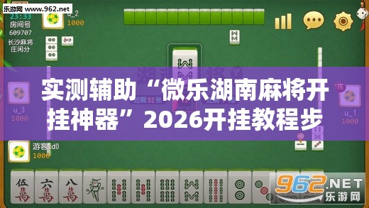 实测辅助“微乐湖南麻将开挂神器	”2026开挂教程步骤