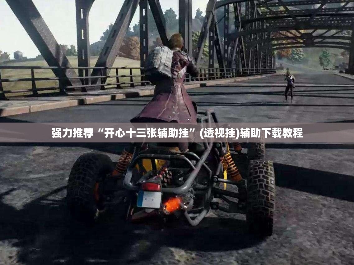 强力推荐“开心十三张辅助挂”(透视挂)辅助下载教程