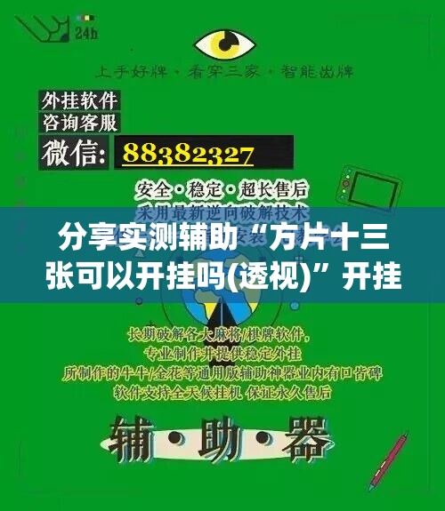 分享实测辅助“方片十三张可以开挂吗(透视)”开挂辅助脚本+详细开挂安装教程