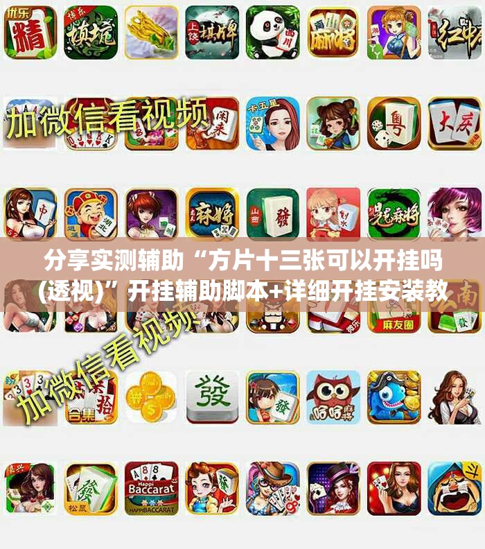 分享实测辅助“方片十三张可以开挂吗(透视)	”开挂辅助脚本+详细开挂安装教程