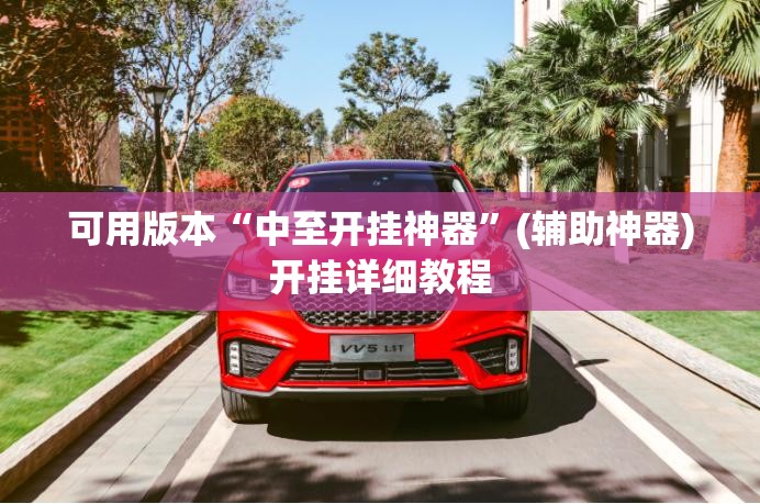 可用版本“中至开挂神器	”(辅助神器)开挂详细教程