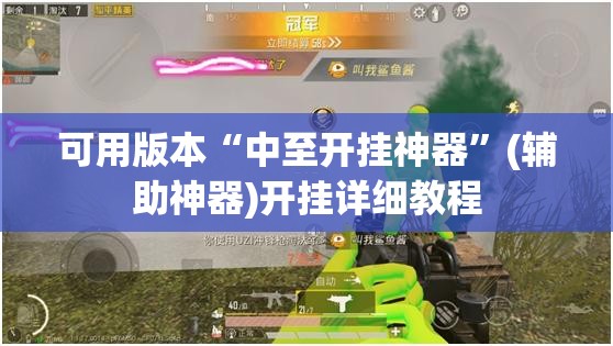 可用版本“中至开挂神器”(辅助神器)开挂详细教程