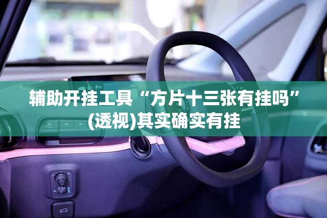 辅助开挂工具“方片十三张有挂吗”(透视)其实确实有挂