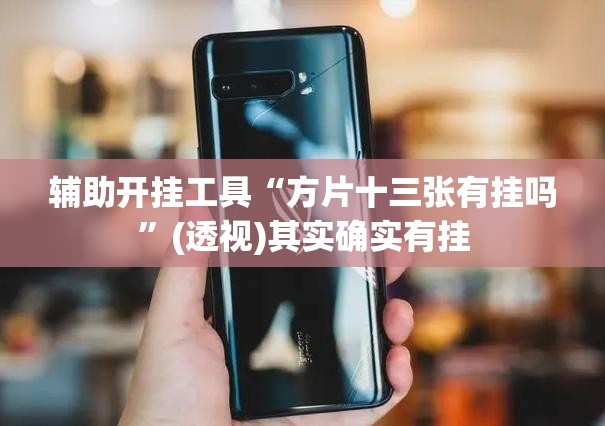 辅助开挂工具“方片十三张有挂吗”(透视)其实确实有挂