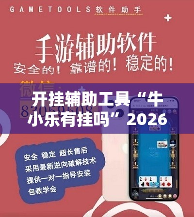 开挂辅助工具“牛小乐有挂吗”2026开挂教程步骤