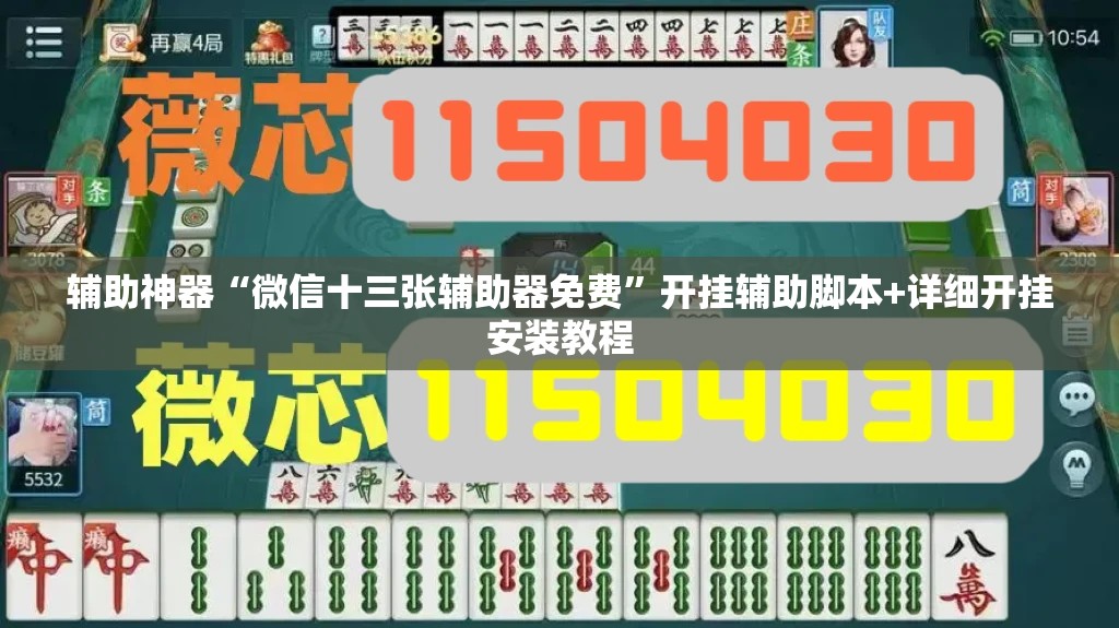 辅助神器“微信十三张辅助器免费”开挂辅助脚本+详细开挂安装教程