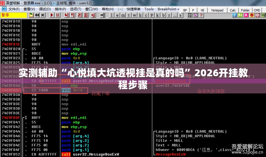 实测辅助“心悦填大坑透视挂是真的吗”2026开挂教程步骤
