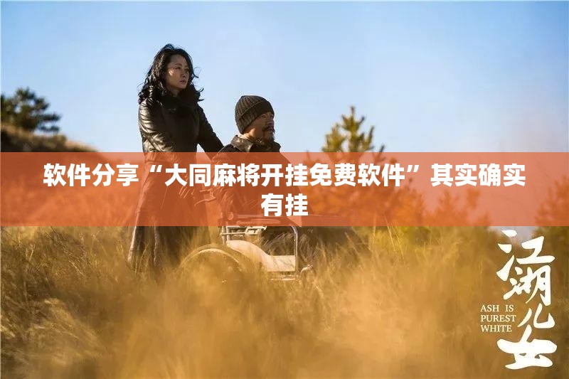 软件分享“大同麻将开挂免费软件”其实确实有挂
