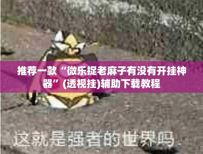 推荐一款“微乐捉老麻子有没有开挂神器”(透视挂)辅助下载教程