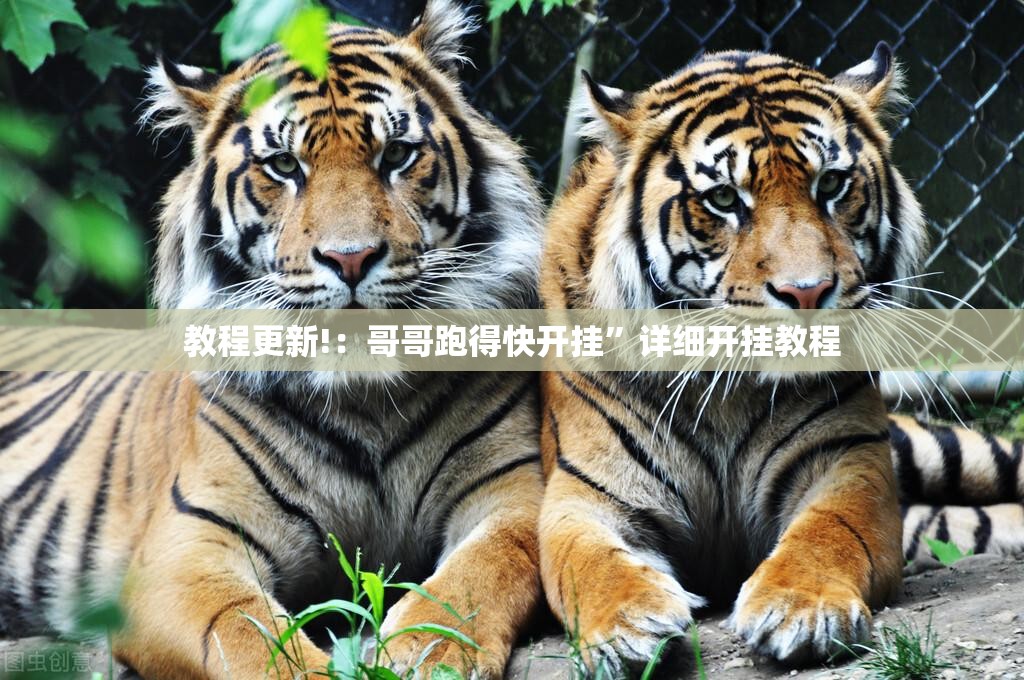 教程更新!：哥哥跑得快开挂”详细开挂教程