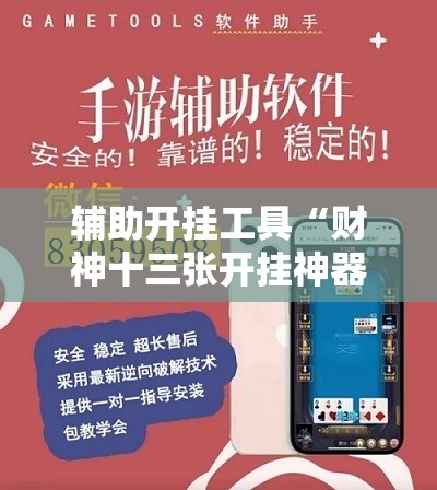 辅助开挂工具“财神十三张开挂神器下载”开挂辅助脚本+详细开挂安装教程