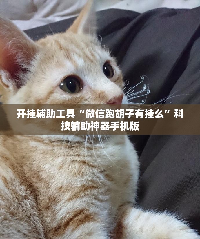开挂辅助工具“微信跑胡子有挂么”科技辅助神器手机版