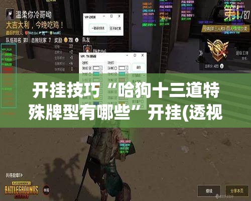 开挂技巧“哈狗十三道特殊牌型有哪些”开挂(透视)最新辅助详细