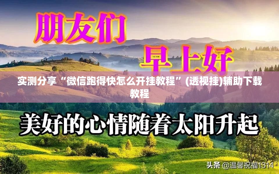 实测分享“微信跑得快怎么开挂教程”(透视挂)辅助下载教程