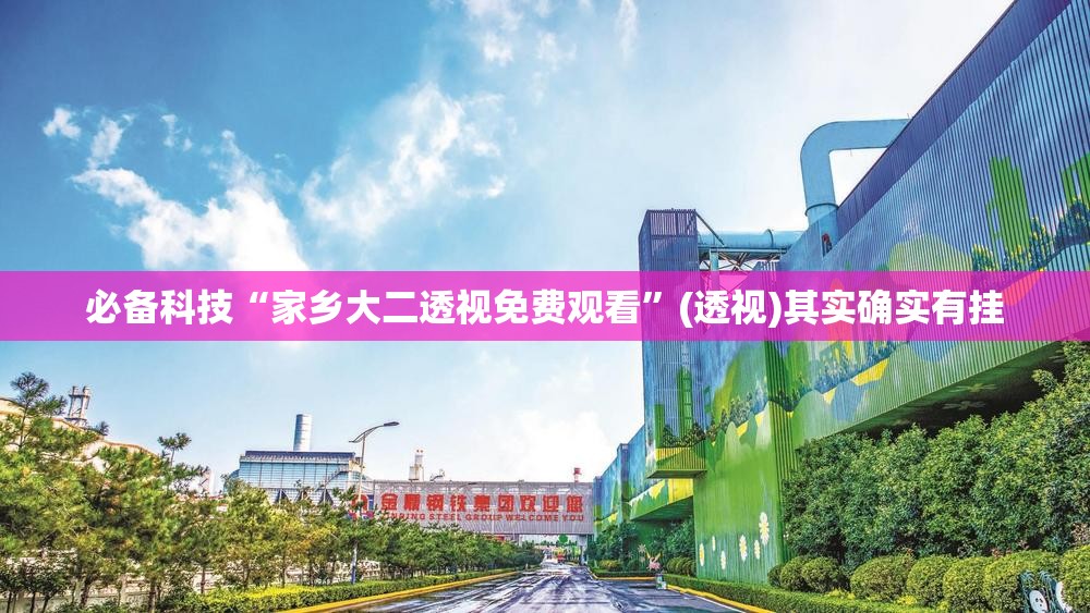 必备科技“家乡大二透视免费观看”(透视)其实确实有挂