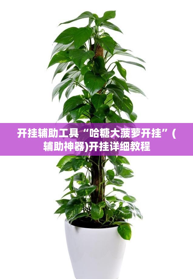 开挂辅助工具“哈糖大菠萝开挂”(辅助神器)开挂详细教程