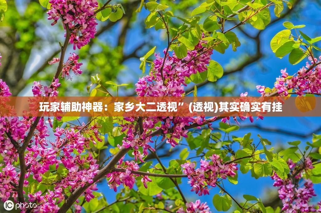 玩家辅助神器：家乡大二透视”(透视)其实确实有挂