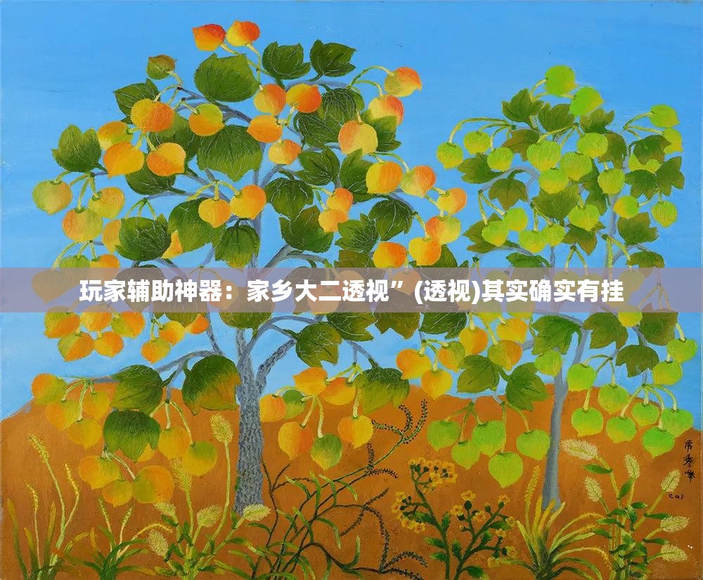玩家辅助神器：家乡大二透视	”(透视)其实确实有挂