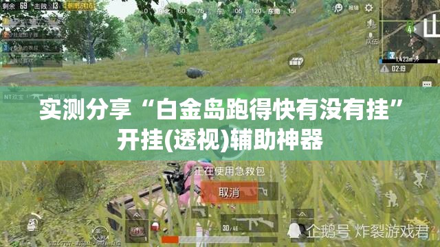 实测分享“白金岛跑得快有没有挂”开挂(透视)辅助神器