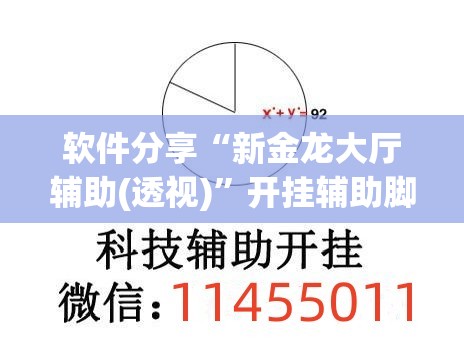 软件分享“新金龙大厅辅助(透视)	”开挂辅助脚本+详细开挂安装教程