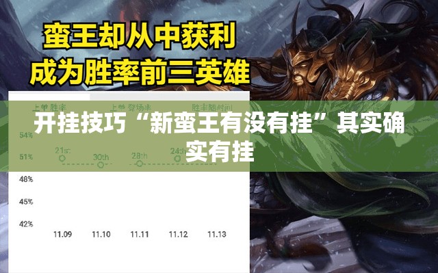 开挂技巧“新蛮王有没有挂	”其实确实有挂