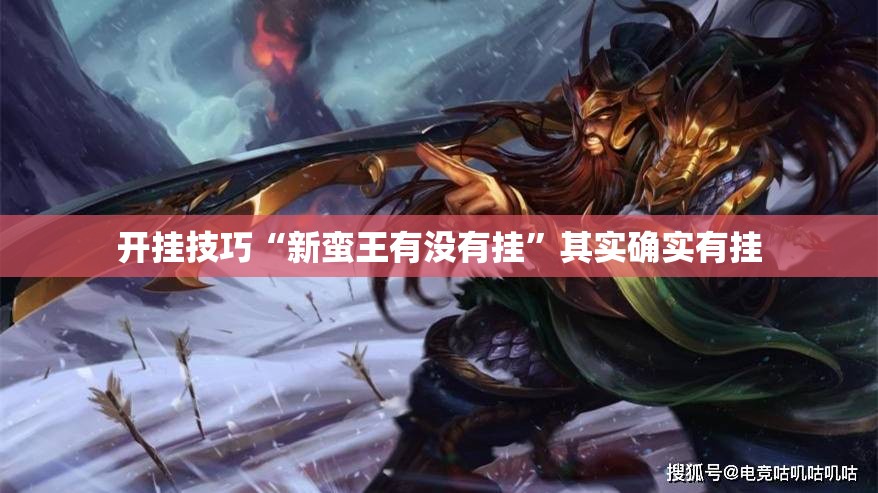 开挂技巧“新蛮王有没有挂”其实确实有挂