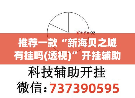 推荐一款“新海贝之城有挂吗(透视)”开挂辅助脚本+详细开挂安装教程