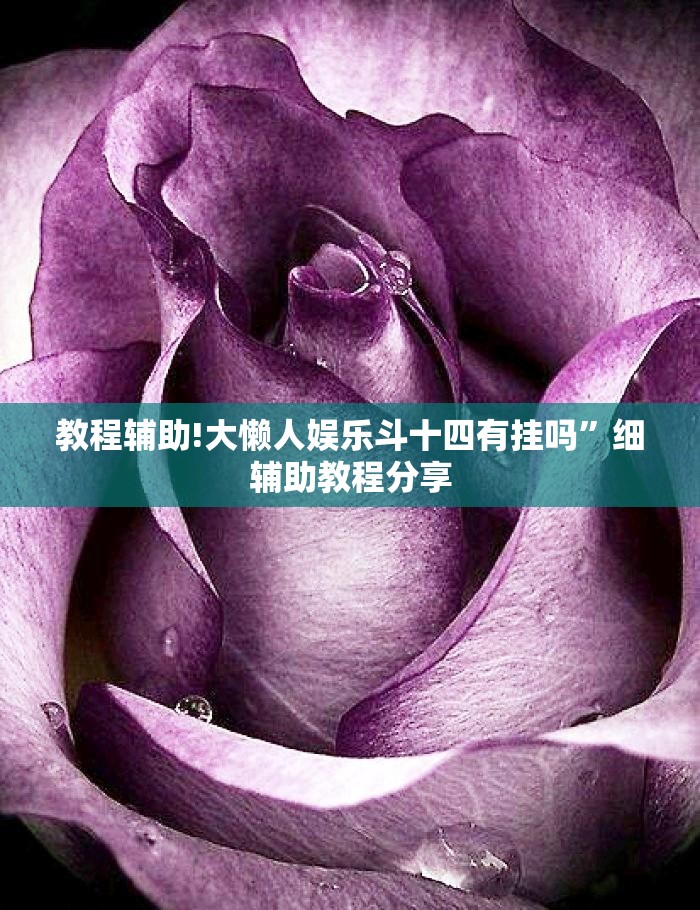 教程辅助!大懒人娱乐斗十四有挂吗”细辅助教程分享