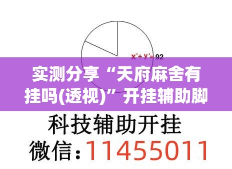实测分享“天府麻舍有挂吗(透视)”开挂辅助脚本+详细开挂安装教程