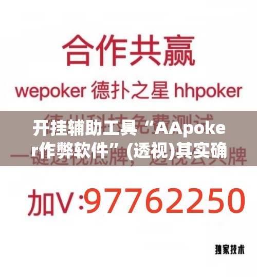 开挂辅助工具“AApoker作弊软件”(透视)其实确实有挂