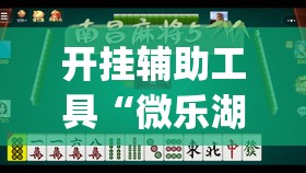开挂辅助工具“微乐湖北麻将小程序怎么开挂”开挂(透视)最新辅助详细
