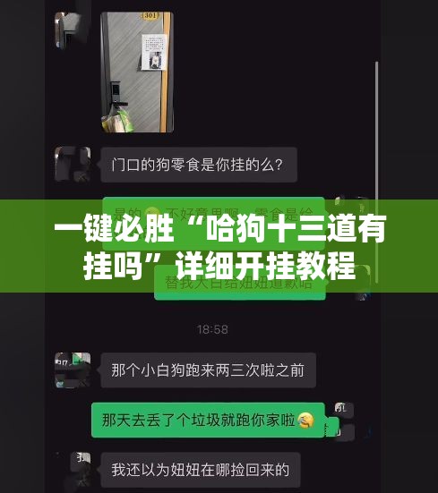 一键必胜“哈狗十三道有挂吗”详细开挂教程