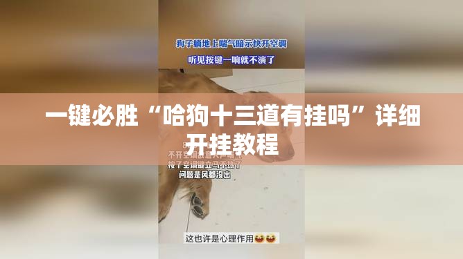 一键必胜“哈狗十三道有挂吗	”详细开挂教程