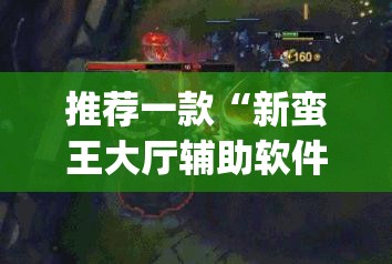 推荐一款“新蛮王大厅辅助软件”(透视)其实确实有挂
