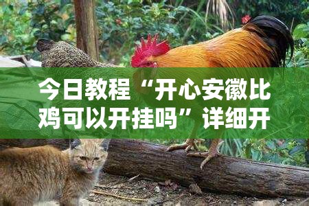 今日教程“开心安徽比鸡可以开挂吗”详细开挂教程