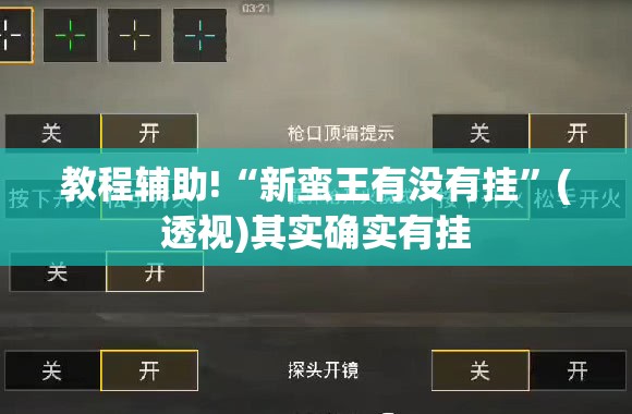 教程辅助!“新蛮王有没有挂”(透视)其实确实有挂