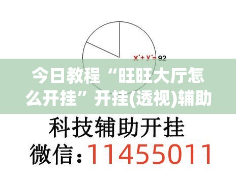 今日教程“旺旺大厅怎么开挂”开挂(透视)辅助神器