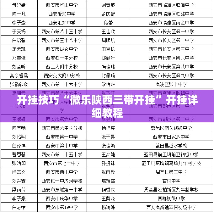 开挂技巧“微乐陕西三带开挂	”开挂详细教程