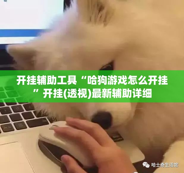 开挂辅助工具“哈狗游戏怎么开挂”开挂(透视)最新辅助详细