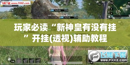 玩家必读“新神皇有没有挂”开挂(透视)辅助教程