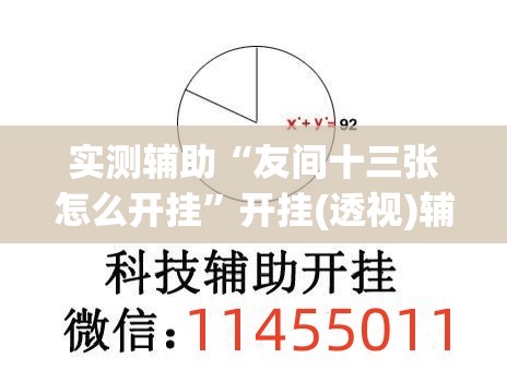 实测辅助“友间十三张怎么开挂”开挂(透视)辅助教程