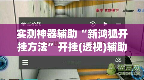 实测神器辅助“新鸿狐开挂方法”开挂(透视)辅助教程
