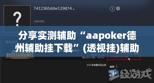 分享实测辅助“aapoker德州辅助挂下载”(透视挂)辅助下载教程