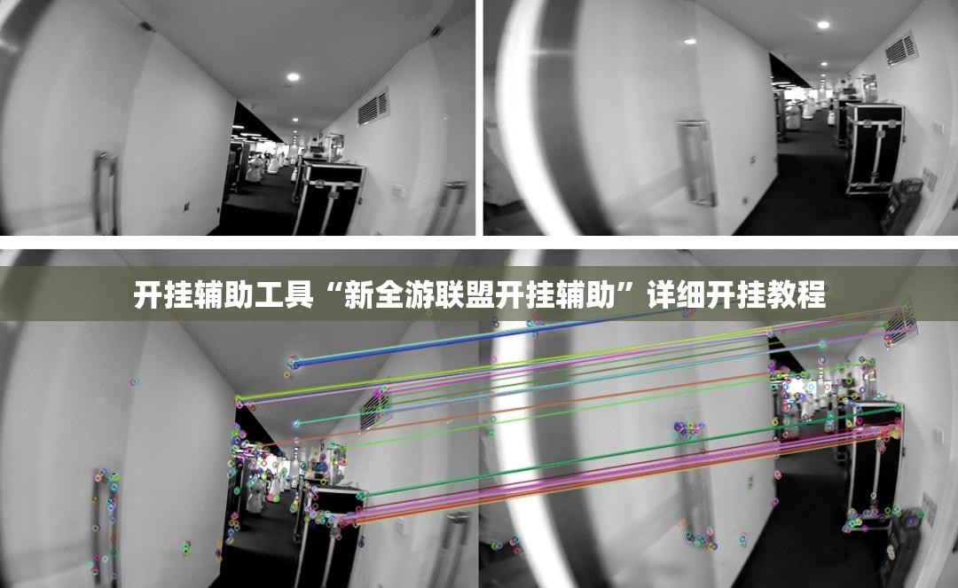 开挂辅助工具“新全游联盟开挂辅助”详细开挂教程