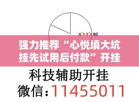 强力推荐“心悦填大坑挂先试用后付款”开挂辅助脚本+详细开挂安装教程