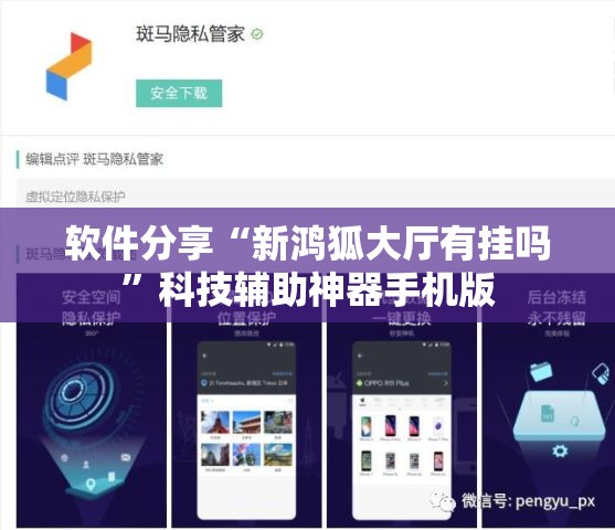 软件分享“新鸿狐大厅有挂吗	”科技辅助神器手机版