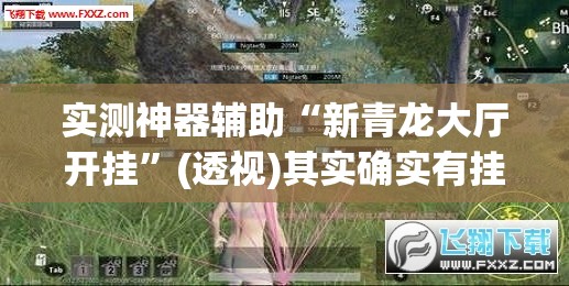 实测神器辅助“新青龙大厅开挂”(透视)其实确实有挂