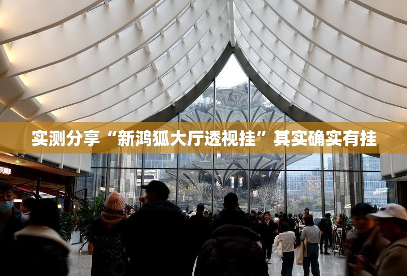 实测分享“新鸿狐大厅透视挂	”其实确实有挂