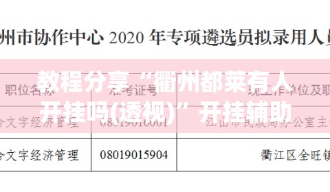 教程分享“衢州都莱有人开挂吗(透视)”开挂辅助脚本+详细开挂安装教程